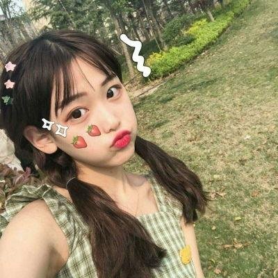 小猫熊历险记